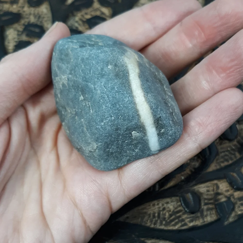 5 Banded Stones East Coast Beach Rocks Raw Rough Mineral Specimens Gray White